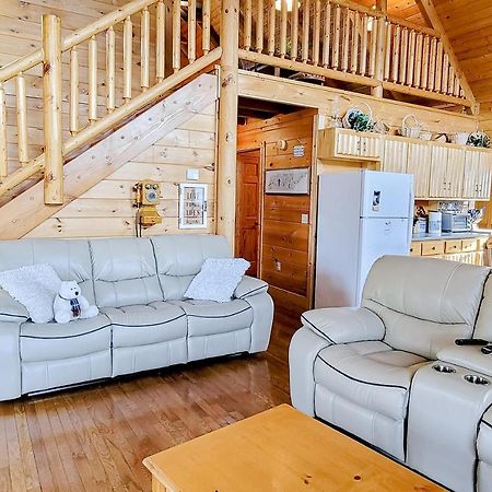 Lazy Bear Lodge 세비어빌 외부 사진